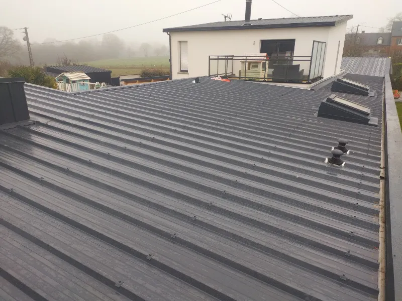 pose de velux louvigne du desert